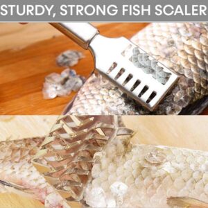 Fish Scale Remover Scraper - Stainless steel.